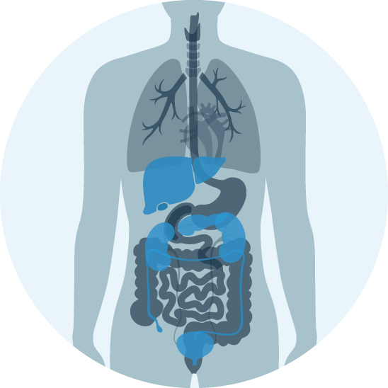 Abdomen-Ultraschall